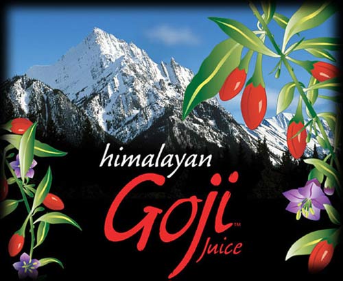 Goji Berry World's Most Powerful Anti-Aging Nutrition Health Food